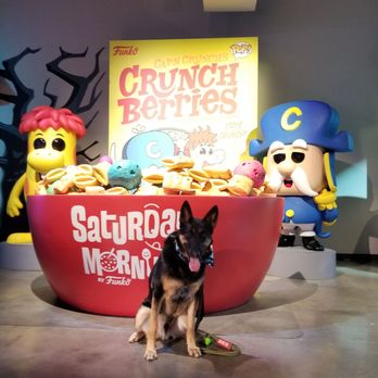 Funko - Toy Stores Near Me - Los Angeles, California
