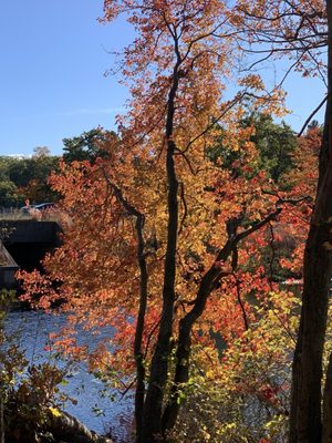 Cochituate State Park by null