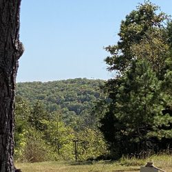 Cabin Fever Resort - Outside