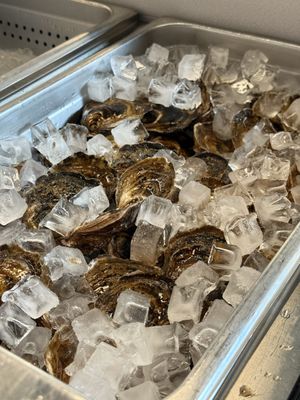 Beer & Fish Company by null