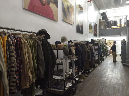 Nepenthes New York by null