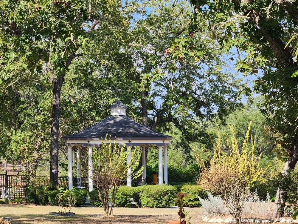 Slide of Mayhaw Fig Roofing