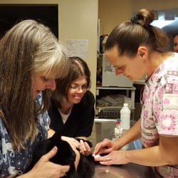 Allentown Cat Clinic