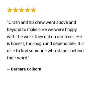 Reviews - Call now and mention Yelp for a no pressure estimate: 18179665269