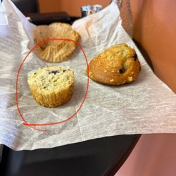 Reve Coffee and Books - Even the muffin stumps are great! (That is a Seinfeld reference if you didn't recognize it)