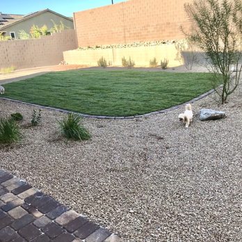 Anthem Landscape & Design - View from the corner of the bulk of the yard. Our dogs are so happy! - Landscaping Near Me Anthem Landscape & Design - View from the corner of the bulk of the yard. Our dogs are so happy! - Landscaping Near Me
