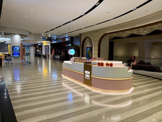 Singapore Changi Airport by null