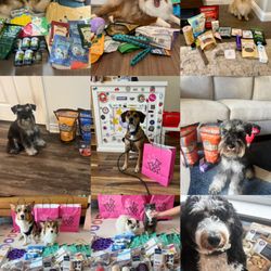 Hers Pet Shop