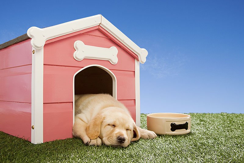 ARTIFICIAL GRASS Naples, Florida Artificial Turf Phone Number Yelp