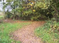 Howardian Local Nature Reserve