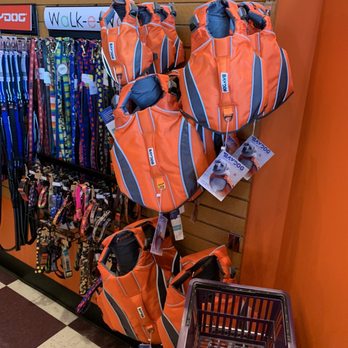 Bark If You're Dirty - Dog life jackets - Pet Groomers Near Me - Scottsdale, Arizona Bark If You're Dirty - Dog life jackets - Pet Groomers Near Me - Scottsdale, Arizona