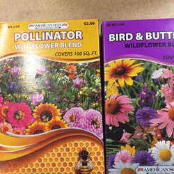 Dollar Tree - Plant some nectar plants for bees and butterflies