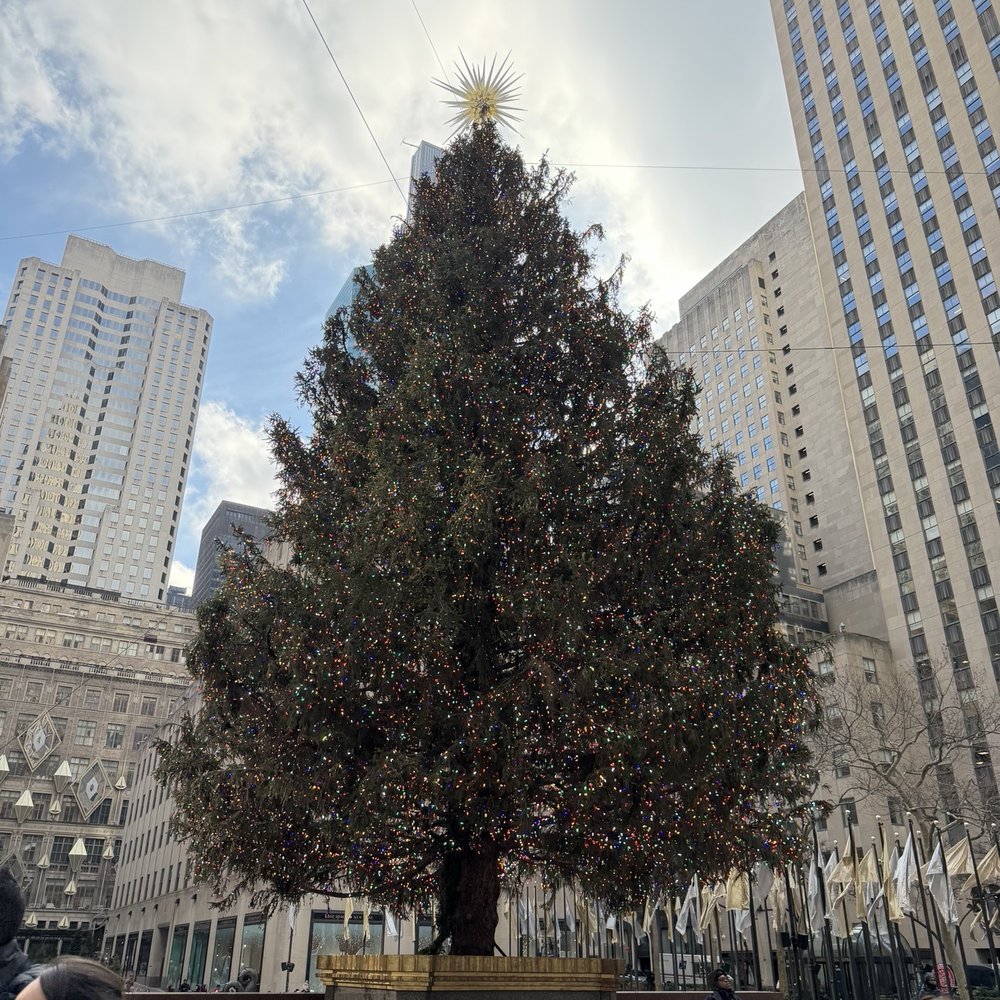 Rockefeller Center Christmas Tree - Christmas Trees Near Me - New York, New York Rockefeller Center Christmas Tree - Christmas Trees Near Me - New York, New York