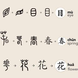 Jasmine's Mandarin and Cantonese Tutoring