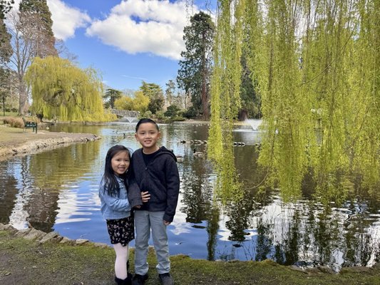 Beacon Hill Park by null