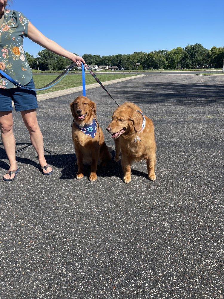 OLIVE DOGS GROOMING SALON Updated July 2024 1030 N Frontage Rd