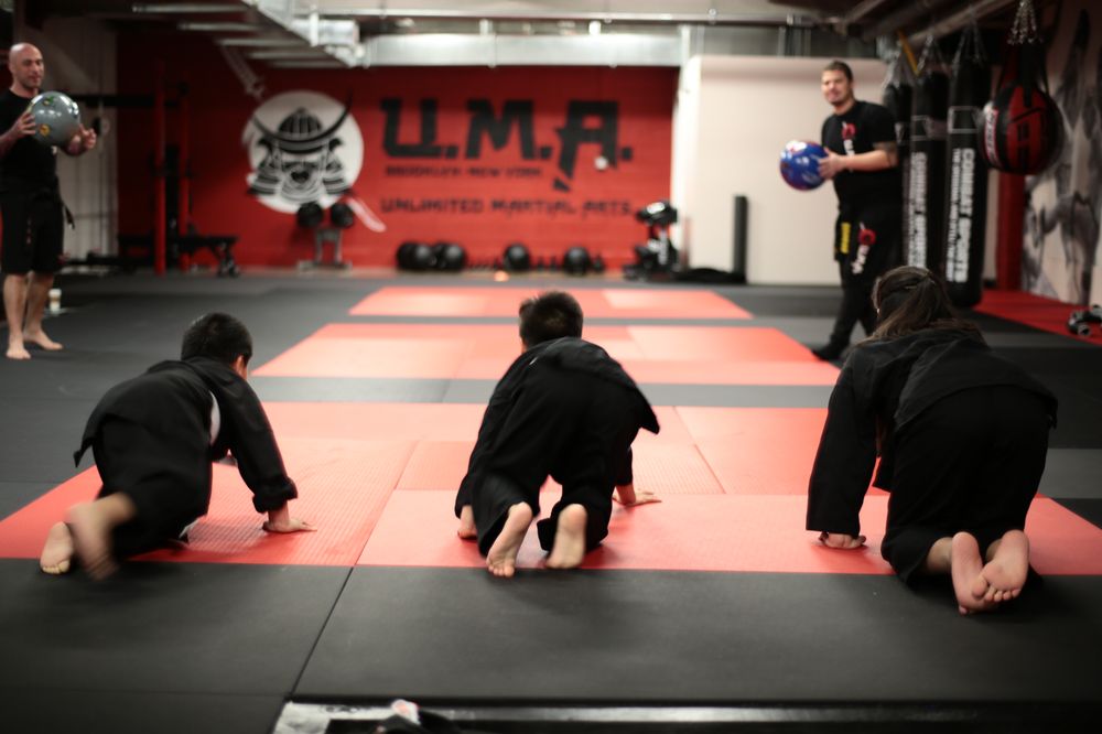 Unlimited Martial Arts Logo