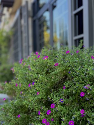 The Kitchen @ Stonebrier by null