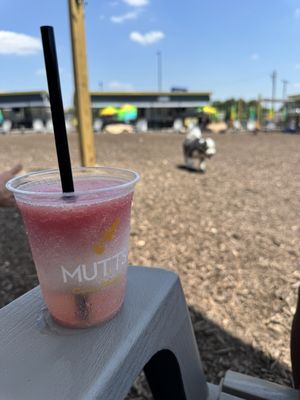 MUTTS Canine Cantina® - Austin by null