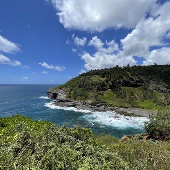Kilauea Point - Wildlife Control Near Me - Kilauea, Hawaii Kilauea Point - Wildlife Control Near Me - Kilauea, Hawaii