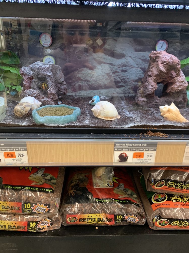 PETCO 25 Photos & 32 Reviews 13241334 Worcester Rd, Natick