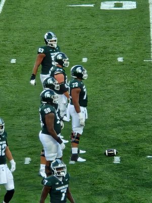 Michigan State University by null