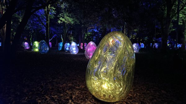 teamLab Botanical Garden Osaka by null