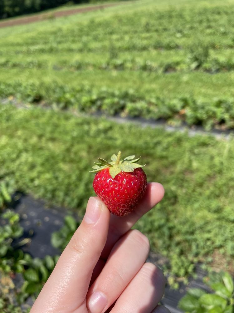 ALLENBROOKE FARMS Updated September 2024 20 Photos 2023 Dr