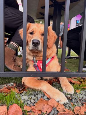 Phinney Station by null