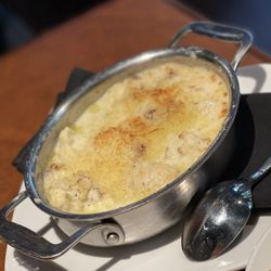Vida - Cauliflower gratin