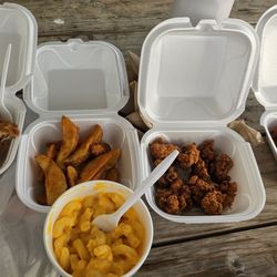 Jimmy's Truck Stop - Chicken tenders, potato wedges, mac and cheese, gator bites, chicken wings