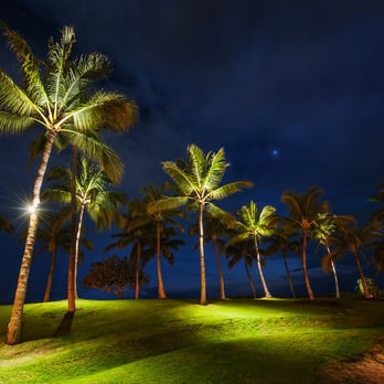 Aloha Trikke - Scenic Beaches and Sunset Tour - Tours Near Me - Honolulu, Hawaii