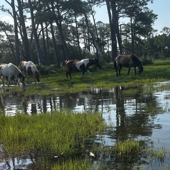 Assateague Explorer - Rafting/Kayaking Near Me - Chincoteague Island, Virginia Assateague Explorer - Rafting/Kayaking Near Me - Chincoteague Island, Virginia