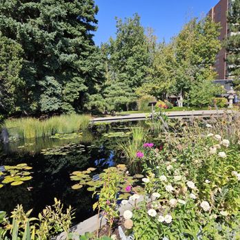 Denver Botanic Gardens - Still flowering - Botanical Gardens Near Me - Denver, Colorado