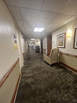 North Shore University Hospital by null