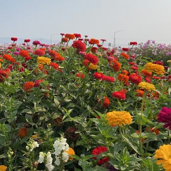 The Farm - Fruits & Veggies Near Me - Salinas, California