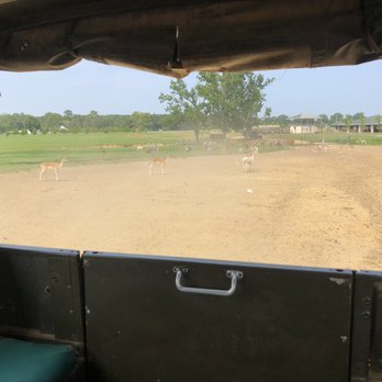 Global Wildlife Center - Getting started on our tour! - Zoos Near Me - Folsom, Louisiana