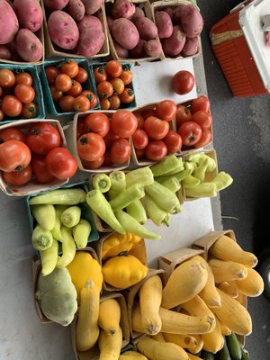 Kenmore Farmer's Market by null