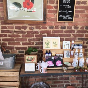B Willow - Product options - Nurseries & Gardening Near Me - Baltimore, Maryland