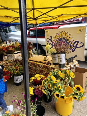 Tompkins Square Park Greenmarket by null
