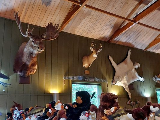 Tahquamenon Falls Brewery & Pub by null