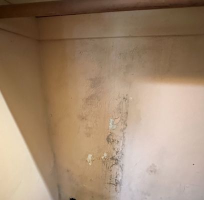 Wolfe Roofing Company Logo