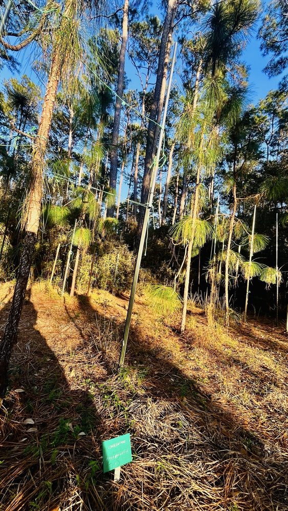 Kleb Woods Nature Preserve Image