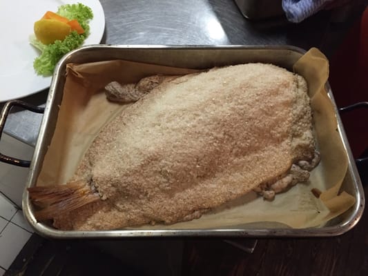 Konoba Restaurant by null