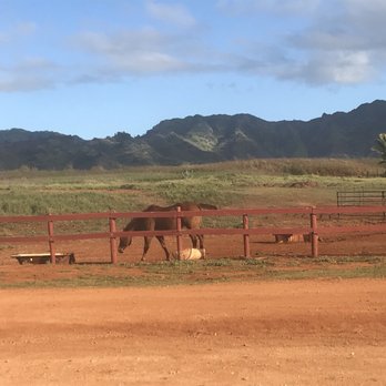 CJM Stables - Horseback Riding Near Me
