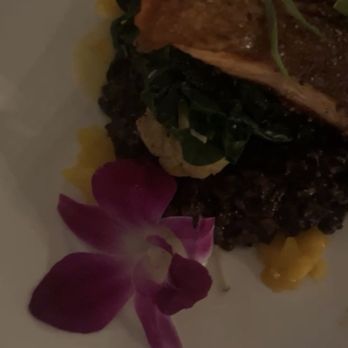 DIOSA - New Mexican Cuisine Near Me - Downey, California DIOSA - New Mexican Cuisine Near Me - Downey, California