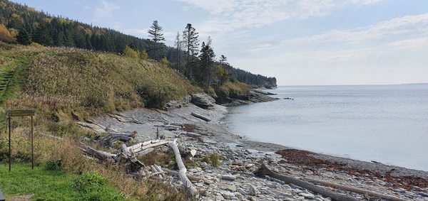 Forillon National Park by null