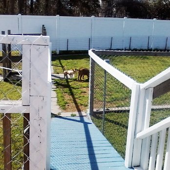 All Tails Wag - some of the dogs playing in the yard. - Pet Groomers Near Me - Myrtle Beach, South Carolina All Tails Wag - some of the dogs playing in the yard. - Pet Groomers Near Me - Myrtle Beach, South Carolina