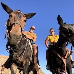Cowboy Trail Rides - Photos on the trail.   Photo taken by Koa our guide!