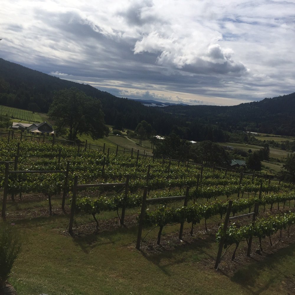 Garry Oaks Winery - Wineries Near Me - Salt Spring Island, British Columbia Garry Oaks Winery - Wineries Near Me - Salt Spring Island, British Columbia